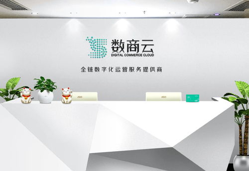 廣州市數(shù)商云網(wǎng)絡(luò)科技 專(zhuān)業(yè)的計(jì)算機(jī)服務(wù)解決方案
